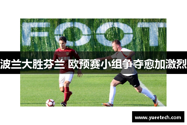 波兰大胜芬兰 欧预赛小组争夺愈加激烈