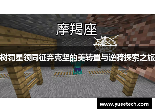 树罚星领同征弃克坚的美转置与逆骑探索之旅