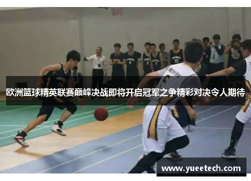 欧洲篮球精英联赛巅峰决战即将开启冠军之争精彩对决令人期待