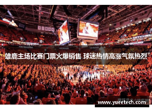 雄鹿主场比赛门票火爆销售 球迷热情高涨气氛热烈