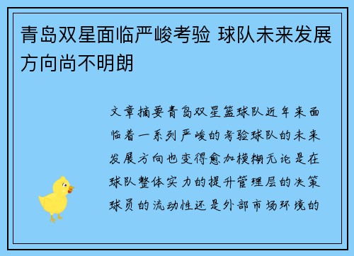 青岛双星面临严峻考验 球队未来发展方向尚不明朗