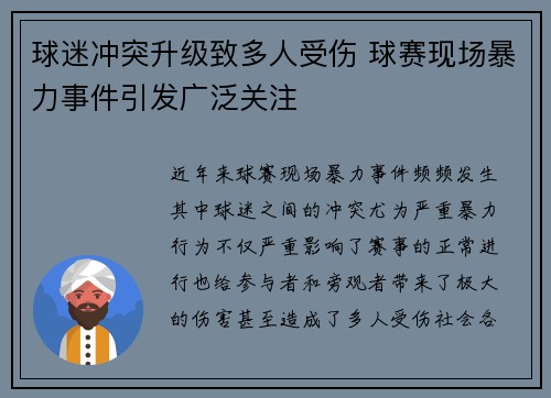 球迷冲突升级致多人受伤 球赛现场暴力事件引发广泛关注